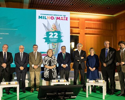 O regadio como desígnio dos governantes de Portugal e Espanha