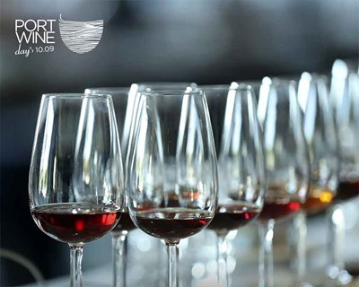 O vinho do Porto abre portas à cidade: um brinde ao sabor, à história e à partilha