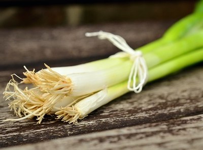 Odemira recebe seminário sobre Agricultura Biológica