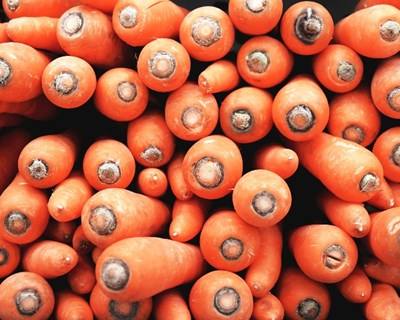 OE/2017: agricultura biológica, regadio e desperdício alimentar são prioridades