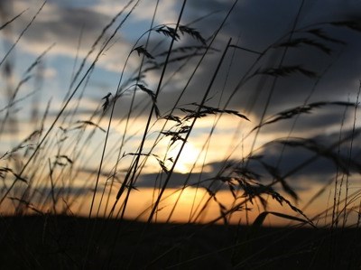 Oeiras debate agricultura sustentável e alterações climáticas