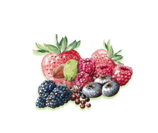 Oeiras recebe V Colóquio Nacional da Produção de Pequenos Frutos