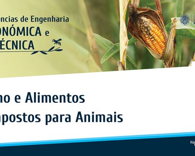 OERN realiza webinar sobre o milho e alimentos compostos para os animais