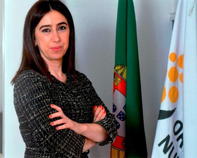 Opinião: Alimentar o presente para sustentar o futuro