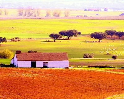 Opinião: O mito de um certo Alentejo