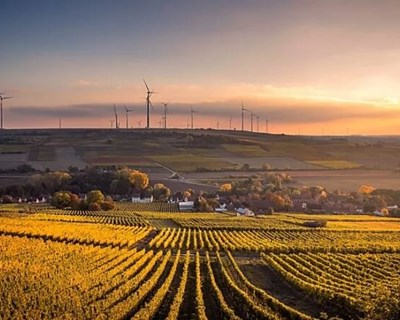 Os avanços da Agricultura 4.0