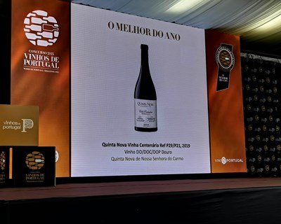 Os melhor vinhos de 2023 foram revelados. Conheça-os.