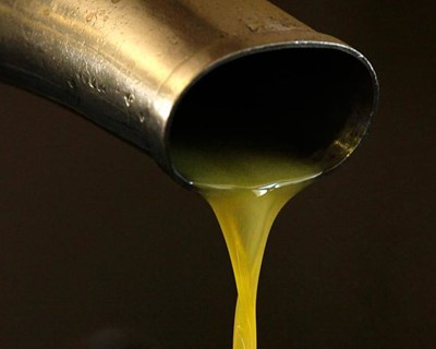 Ovibeja é palco de simpósio internacional de azeite