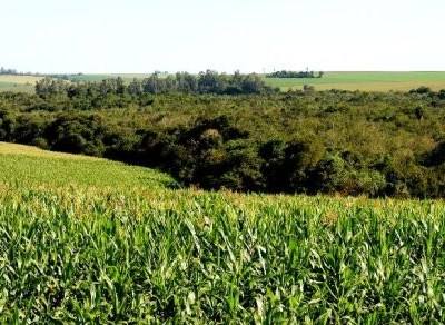 PAC: candidaturas facilitadas a pequenos agricultores com entrega do Pedido Único