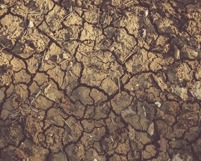 Pacto da Água avalia impactos económicos do stress hídrico em Portugal