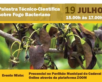 Palestra sobre a temática do Fogo Bacteriano - ADIADA