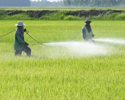 Pan Europe preocupada com autorizações de alguns produtos fitossanitários