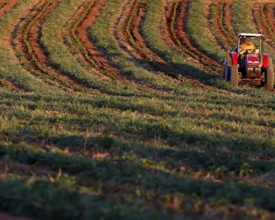 Parcelário agrícola disponível para todos