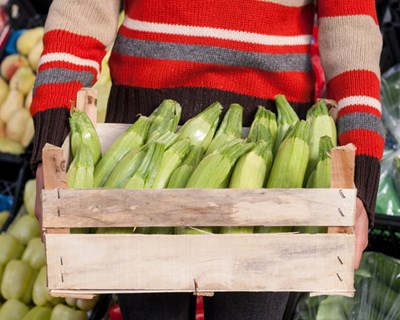 Parlamento Europeu quer alimentos mais saudáveis e sustentáveis na UE