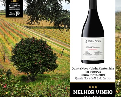 Páscoa à mesa com os Melhores Vinhos de Portugal