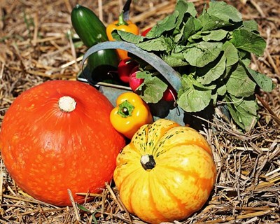 Passar à agricultura biológica - Os princípios biológicos