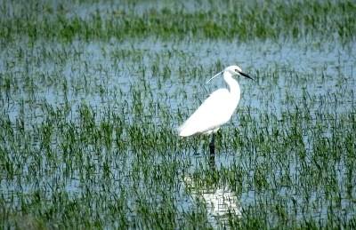 Paul do Boquilobo mantém-se na Rede Mundial da UNESCO