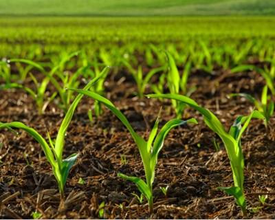 PDR 2020: ações de esclarecimento aos agricultores decorrem em abril de norte a sul do país