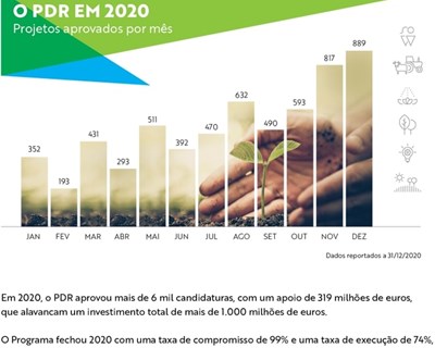 PDR 2020 com mais de 6 mil candidaturas aprovadas