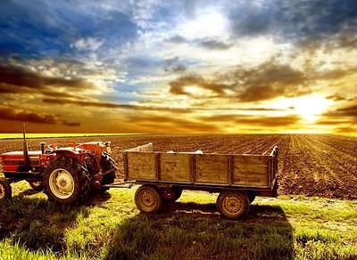 PDR 2020: publicada portaria relativa a pequenos investimentos agrícolas