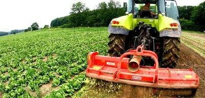 PDR2020: aumento do gasóleo verde gera €9 milhões para financiar investimento