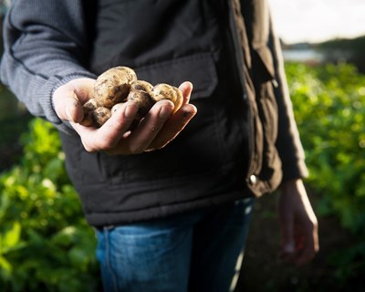 PDR2020: Governo aumenta valor do prémio de instalação para jovens agricultores
