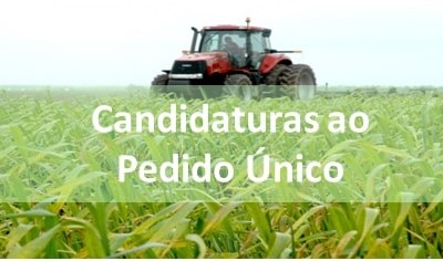 Pedido Único das Ajudas (PU) da Campanha 2021 decorre até 30 de abril