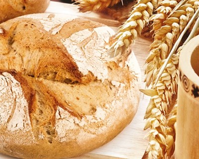 Peniche: inovação de sistemas alimentares em debate