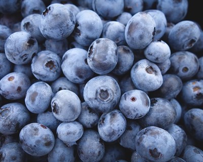 Pequenos Frutos: abertas inscrições para concurso de ideias