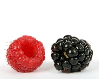 Pequenos frutos portugueses querem chegar ao Dubai e à China