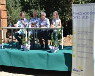 Pequenos frutos têm campo experimental em Sever do Vouga