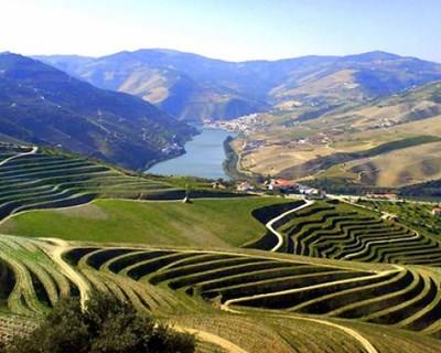 Peso da Régua debate geologia do Alto Douro Vinhateiro