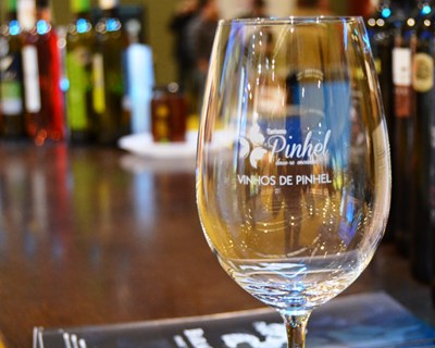 Pinhel candidata-se a “Cidade do Vinho 2017”