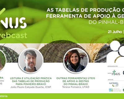 PINUS organiza webcast sobre tabelas de produção para pinheiro-bravo