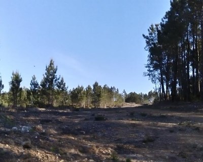 PO SEUR financia projetos de prevenção de incêndios em florestas