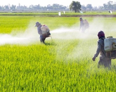 Podemos fazer agricultura sem agrotóxicos?