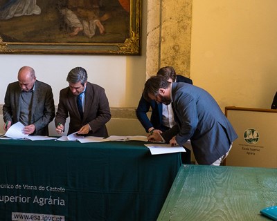 Politécnico de Viana do Castelo lidera consórcio de valorização do Vinho Verde