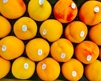 Polónia recebe Congresso Internacional sobre consumo de frutas e vegetais