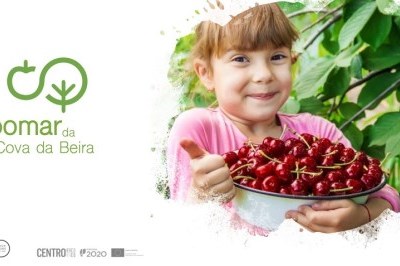 Pomar da Cova da Beira: turismo da fruta promove região