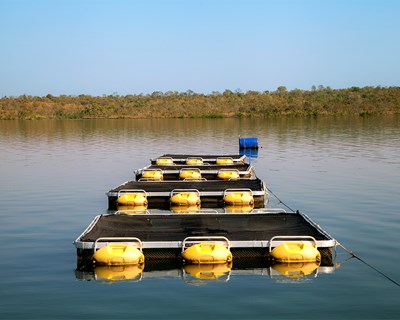 PONG-Pesca promove debate sobre “Aquicultura: desafios e oportunidades”