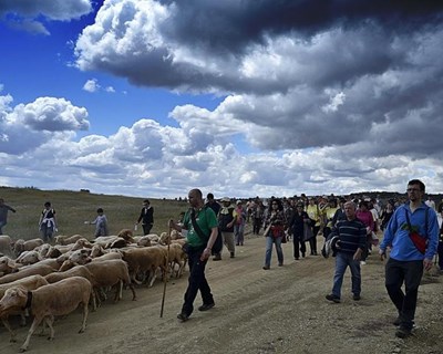 População de Melgaço sobe à montanha para celebrar a transumância