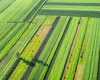 População portuguesa desconhece realidade agrícola