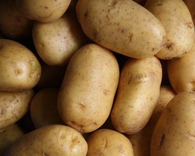 Porbata marca presença na Fruit Attraction