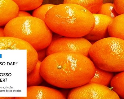 Portal “Dar e Receber” ajuda a combater desperdício de produtos agrícolas