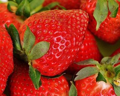 Porto e Lisboa recebem seminário sobre “certificação alimentar e comunicação”
