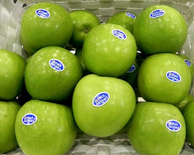 Porto: Escola Superior de Biotecnologia fomenta reaproveitamento alimentar