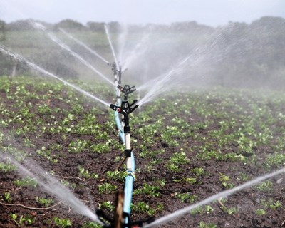 Portugal defende financiamento europeu para a água destinada à agricultura em reunião em Chipre