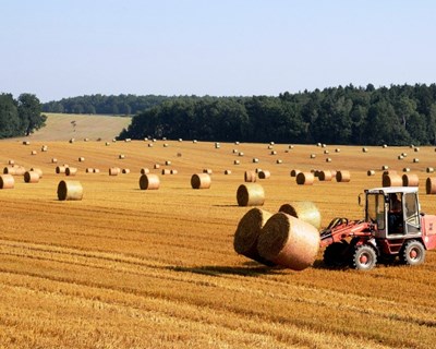 Portugal deixou «agricultura medieval» e modernizou-se graças à PAC