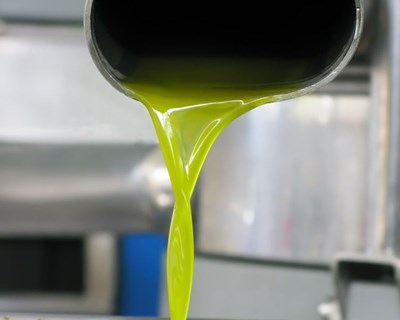 Portugal deverá superar as 120 mil toneladas de azeite este ano