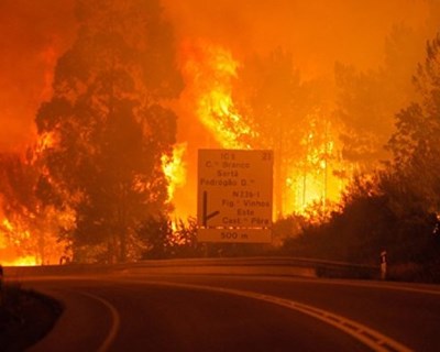 Portugal foi o país da UE com maior área ardida em 2018